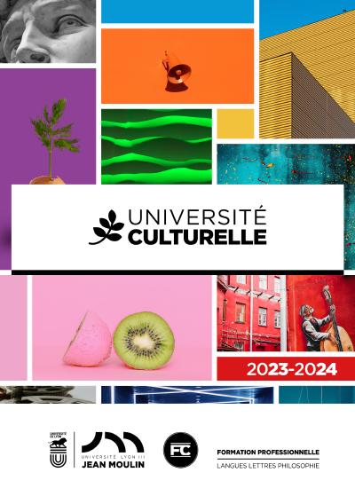 Universit culturelle Universit Jean Moulin Lyon 3